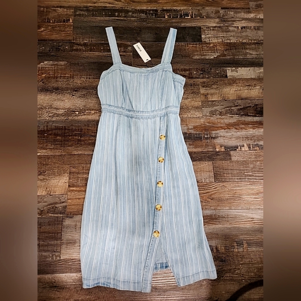 BB Dakota Blue Striped Button-Down Dress
